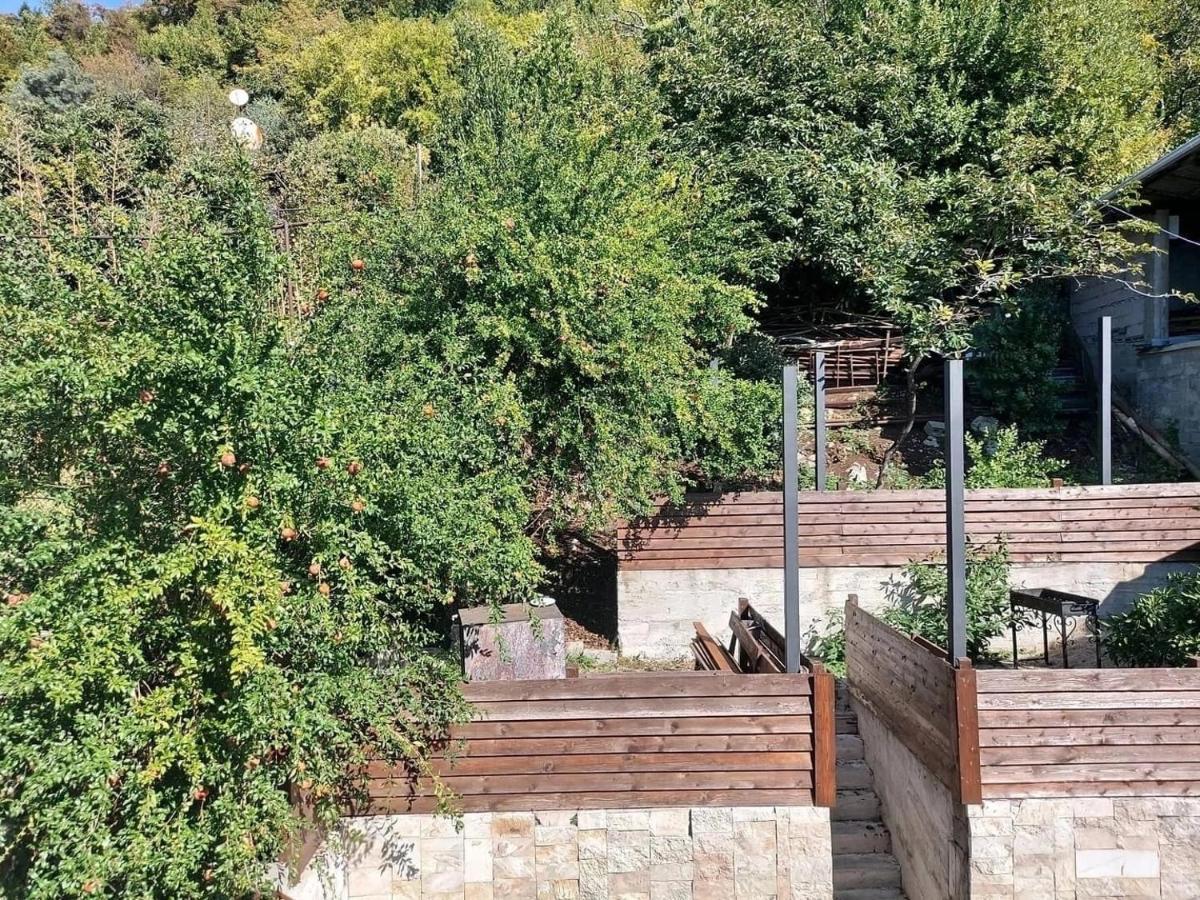Гостевой Дом София 400 М До Моря Gagra Dış mekan fotoğraf